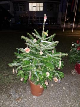 PRAZNIČNA OBČINA ŠKOFLJICA: lokalne skupnosti so okrasile smrečice v drevoredu pri zunanjem igrišču OŠ Škofljica